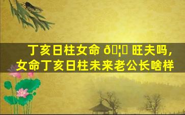 丁亥日柱女命 🦁 旺夫吗,女命丁亥日柱未来老公长啥样